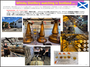 ウイスキー蒸溜所watching in スコットランド 2025