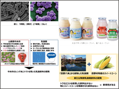 Tips for BFD 第68回